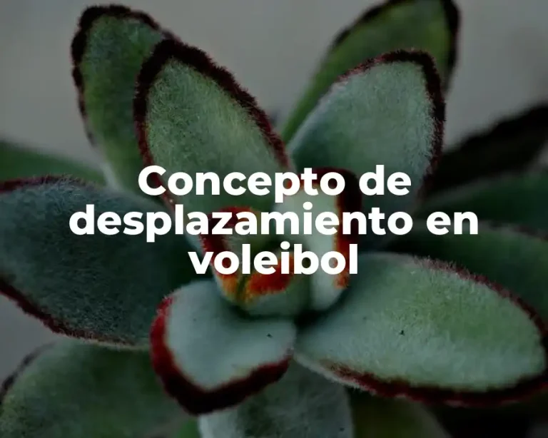 Concepto de desplazamiento en voleibol