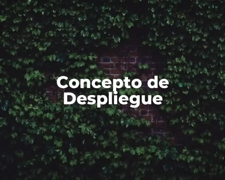 Concepto de Despliegue