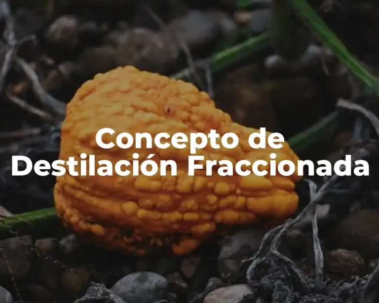 Concepto de Destilación Fraccionada
