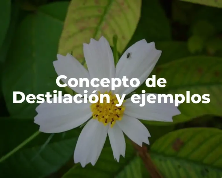 Concepto de Destilación y ejemplos