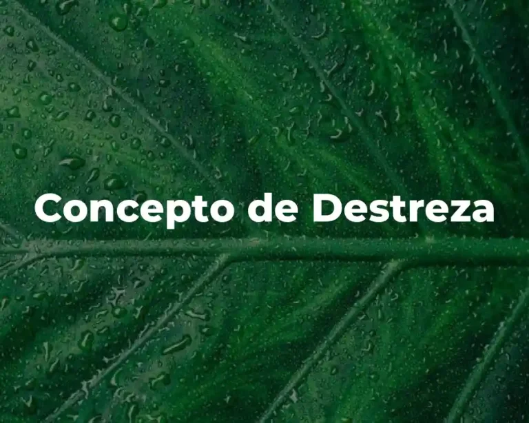 Concepto de Destreza
