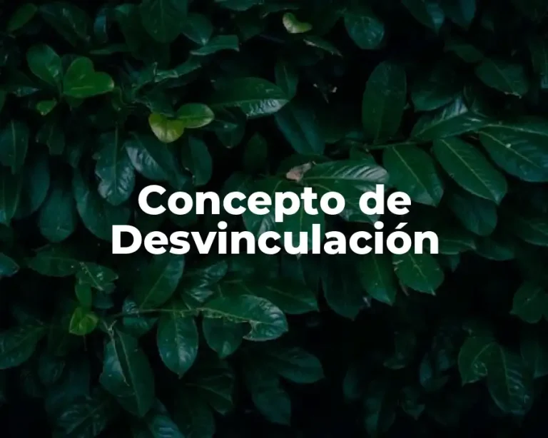 Concepto de Desvinculación