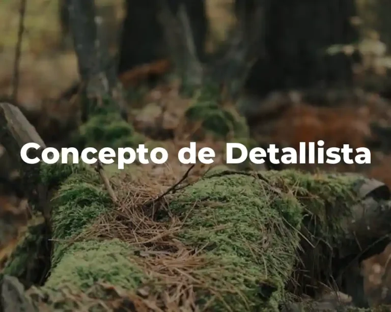 Concepto de Detallista