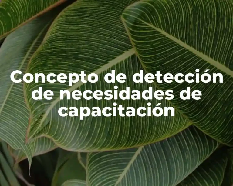 Concepto de detección de necesidades de capacitación