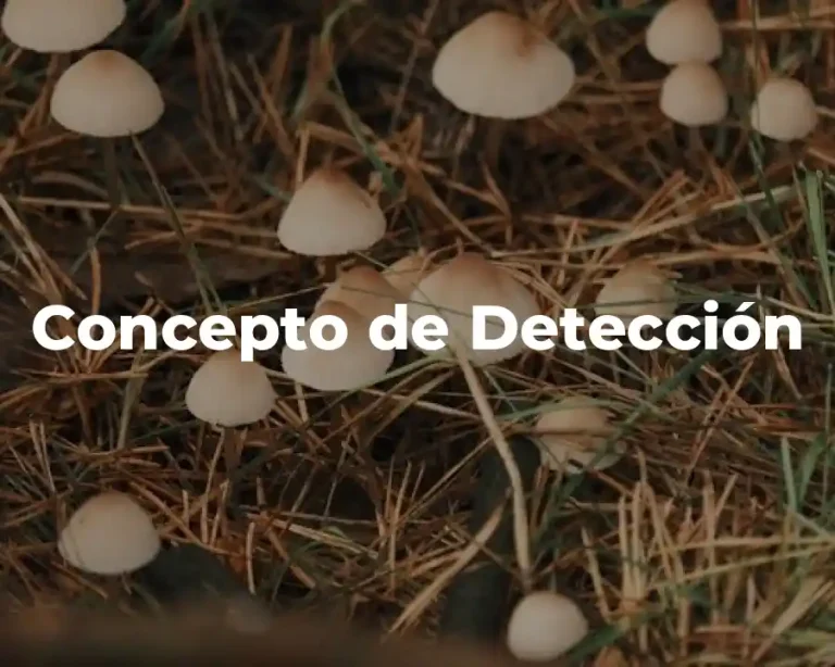 Concepto de Detección