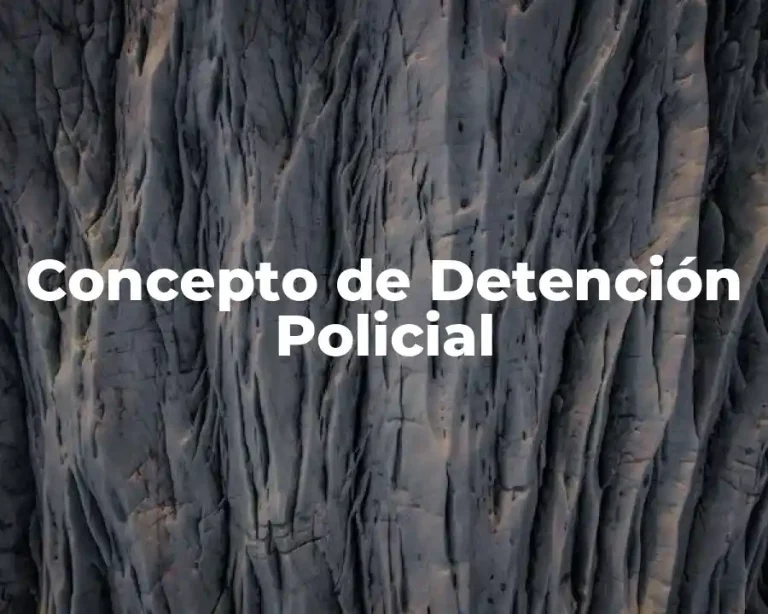 Concepto de Detención Policial
