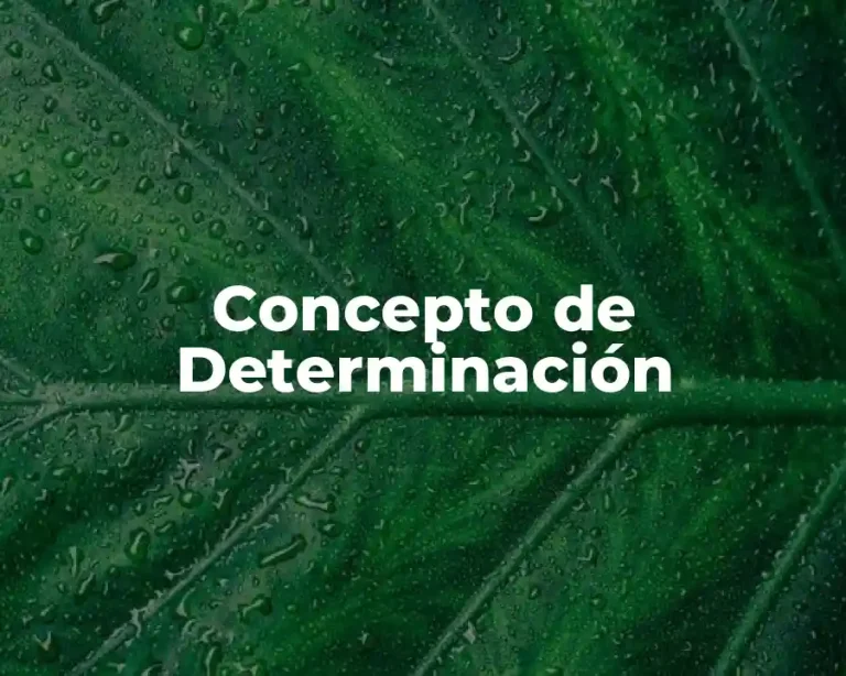 Concepto de Determinación