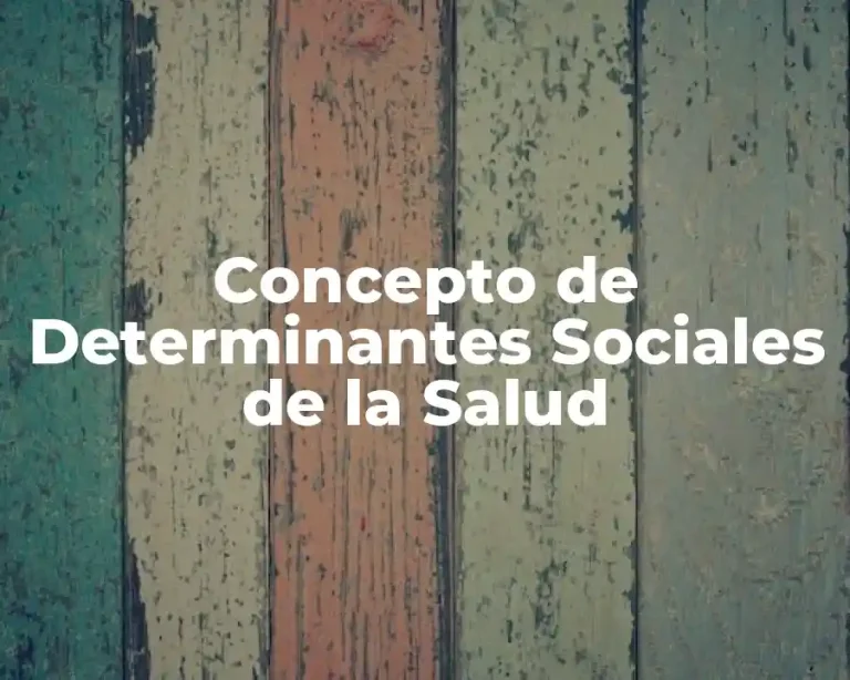 Concepto de Determinantes Sociales de la Salud