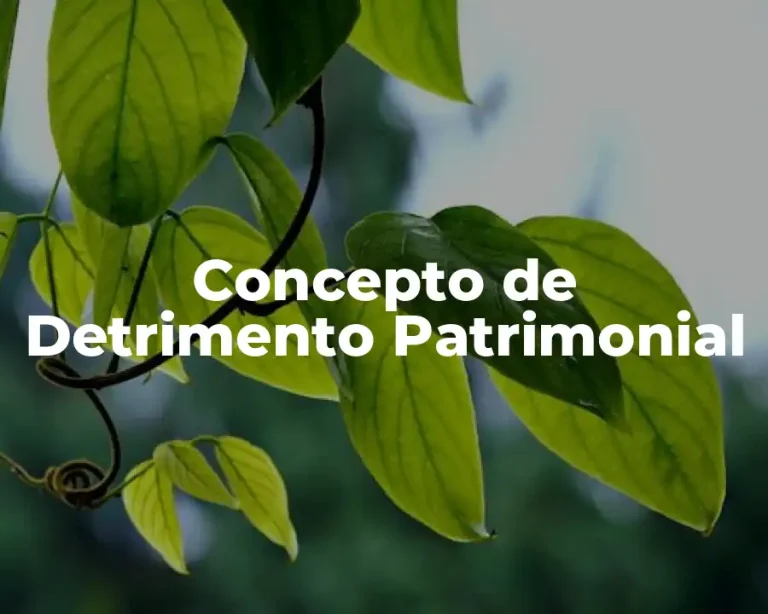 Concepto de Detrimento Patrimonial