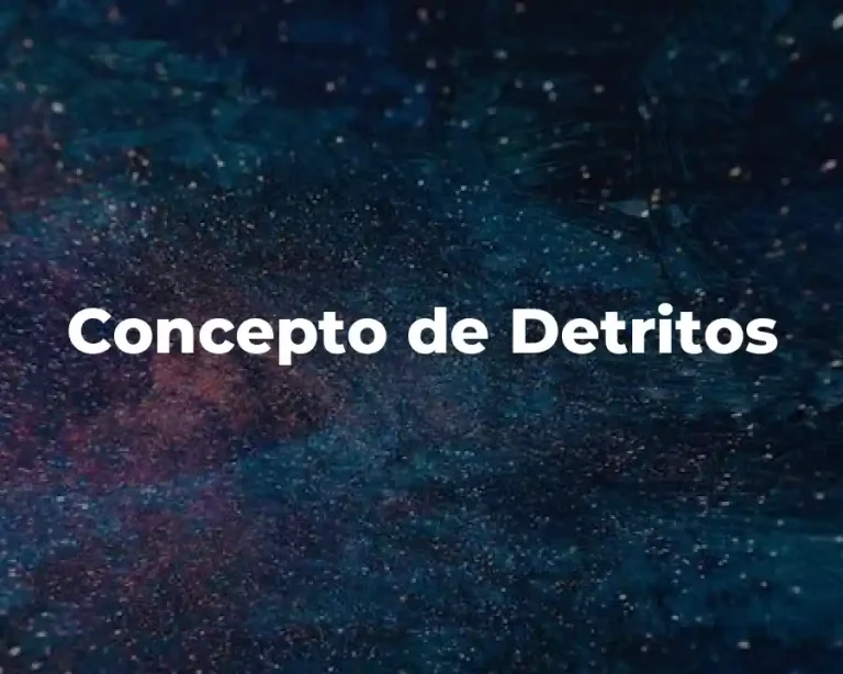 Concepto de Detritos