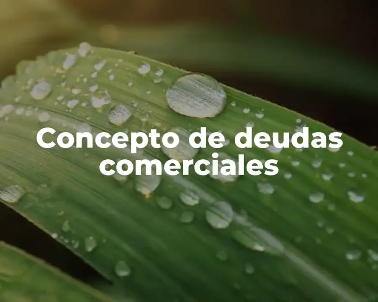 Concepto de deudas comerciales