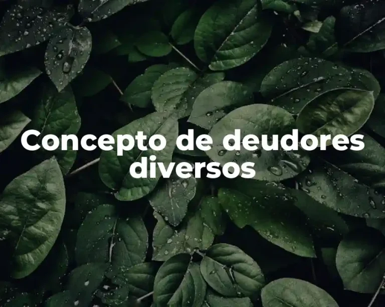 Concepto de deudores diversos