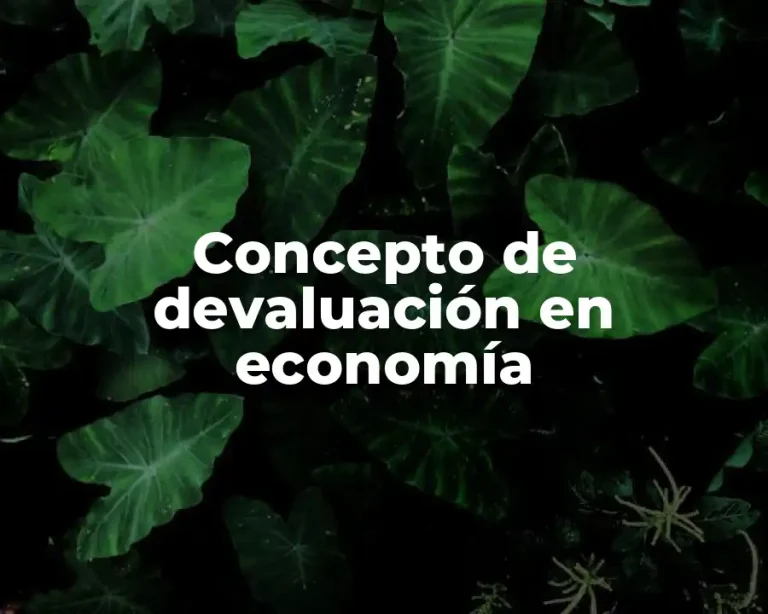 Concepto de devaluación en economía