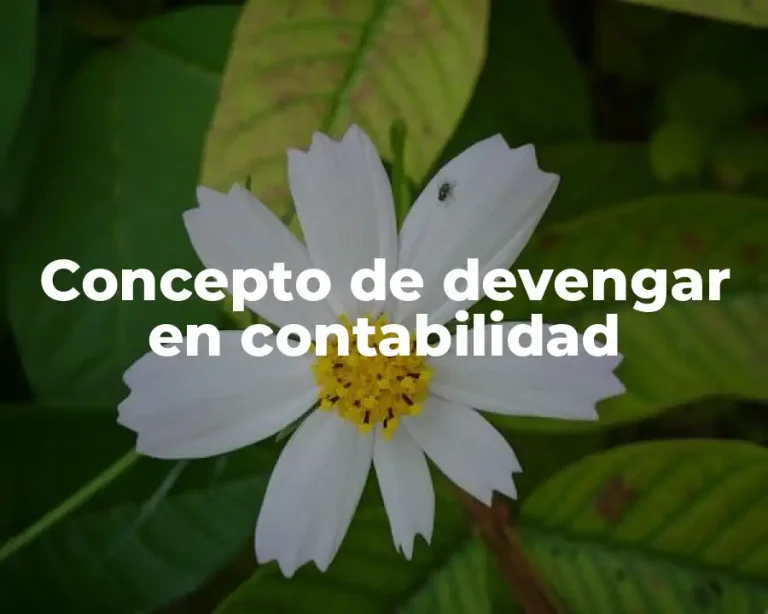 Concepto de devengar en contabilidad