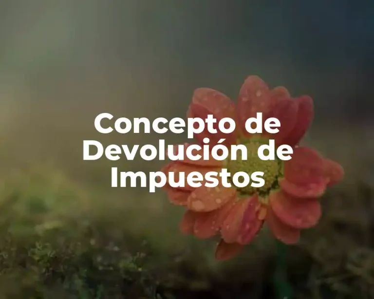 Concepto de Devolución de Impuestos