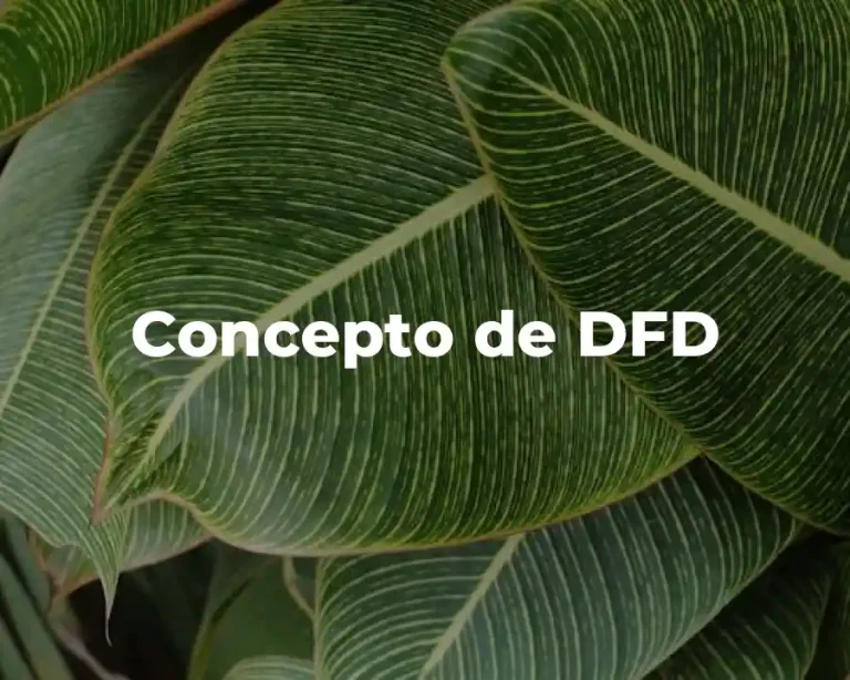 Concepto de DFD