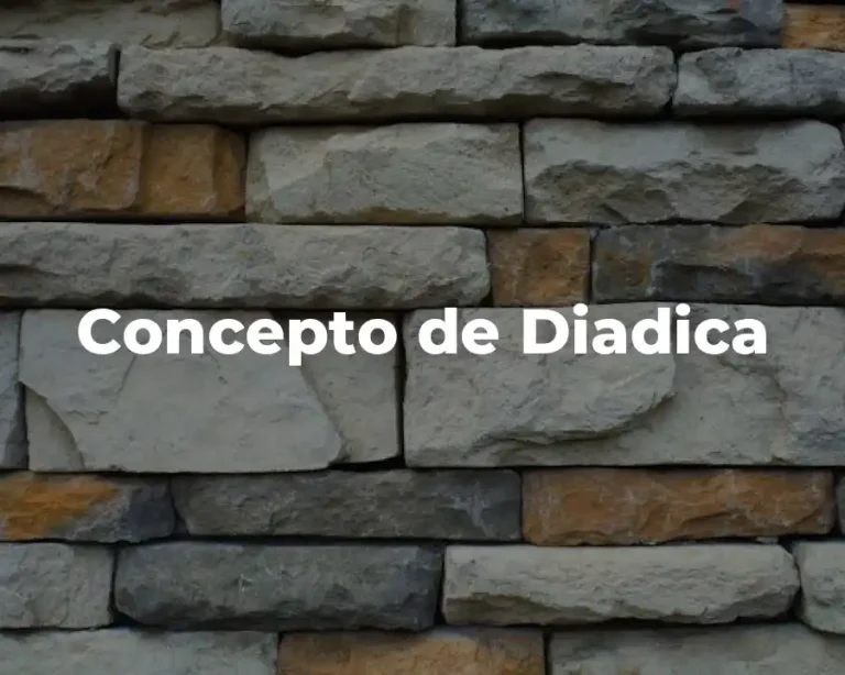 Concepto de Diadica
