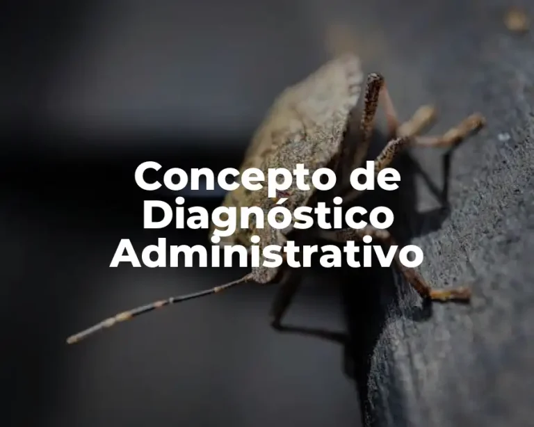 Concepto de Diagnóstico Administrativo