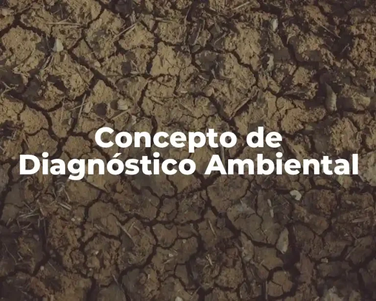 Concepto de Diagnóstico Ambiental