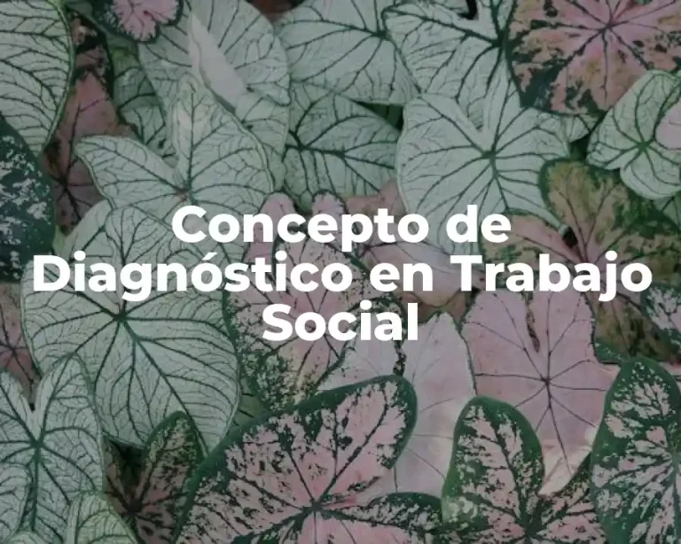 Concepto de Diagnóstico en Trabajo Social