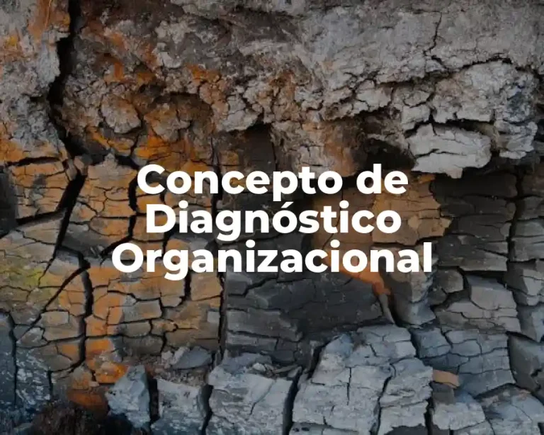 Concepto de Diagnóstico Organizacional