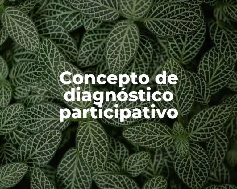 Concepto de diagnóstico participativo