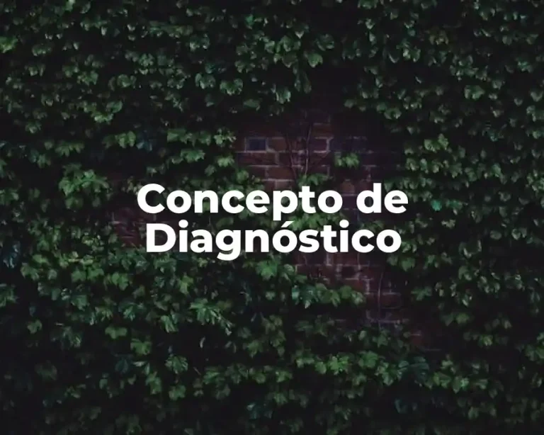 Concepto de Diagnóstico