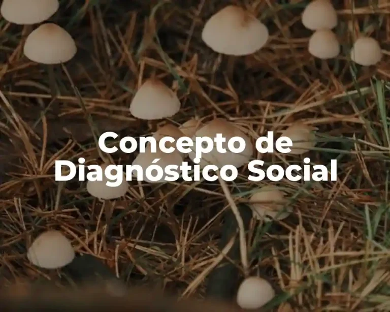 Concepto de Diagnóstico Social