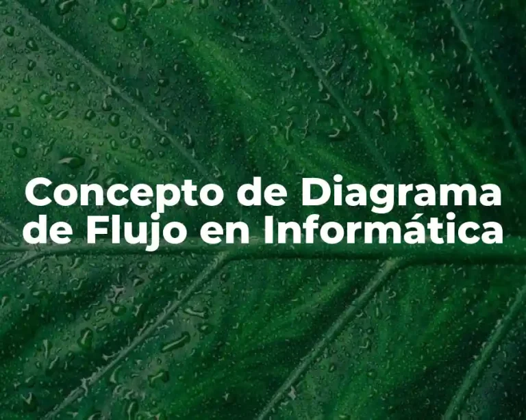 Concepto de Diagrama de Flujo en Informática