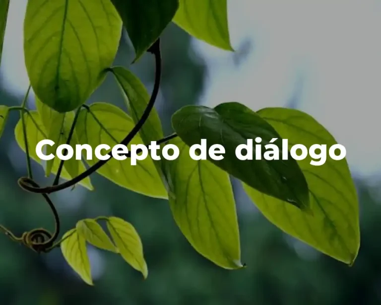 Concepto de diálogo