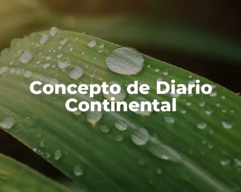Concepto de Diario Continental
