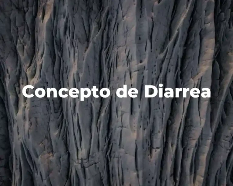 Concepto de Diarrea
