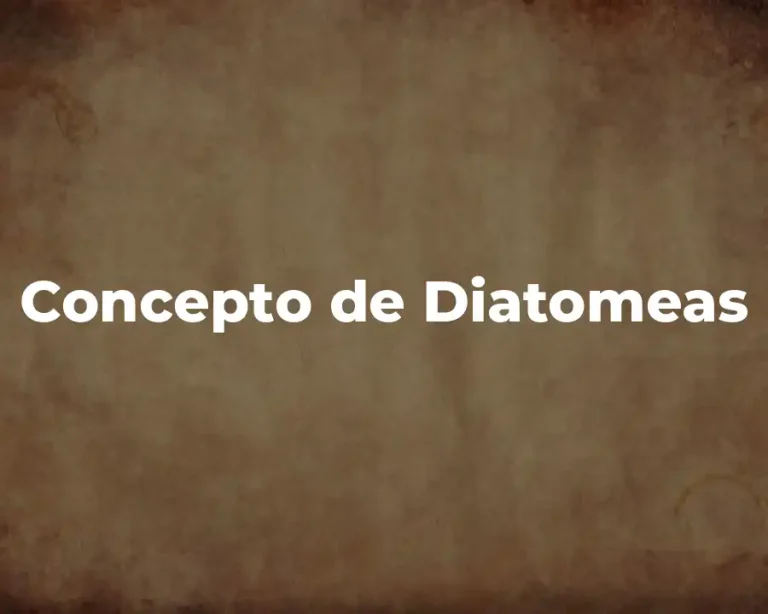 Concepto de Diatomeas