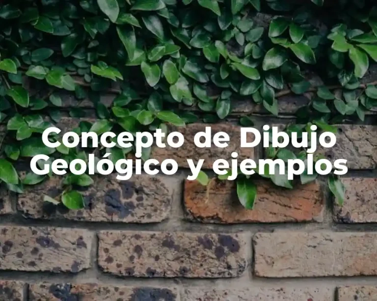 Concepto de Dibujo Geológico y ejemplos