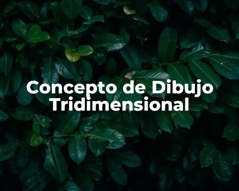 Concepto de Dibujo Tridimensional