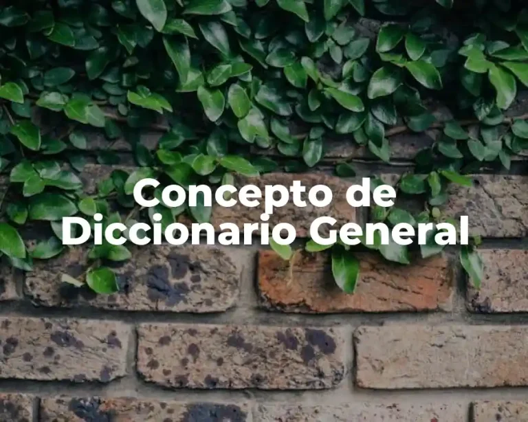 Concepto de Diccionario General