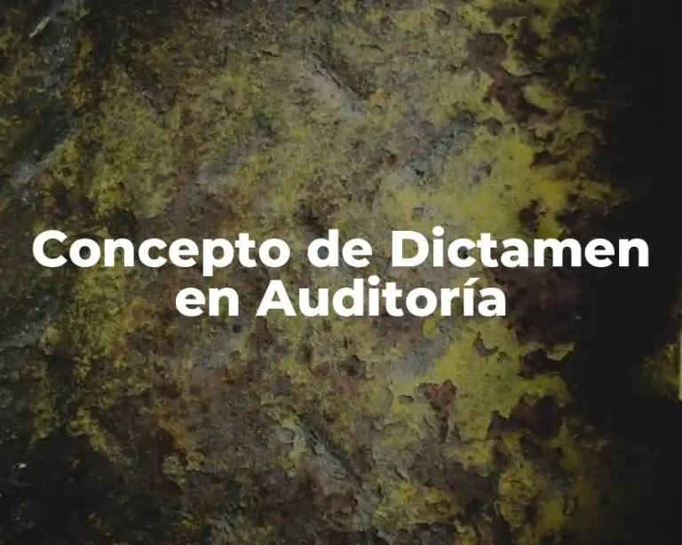 Concepto de Dictamen en Auditoría
