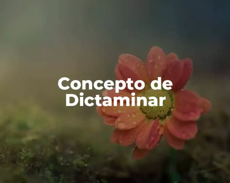 Concepto de Dictaminar