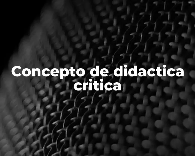 Concepto de didactica critica