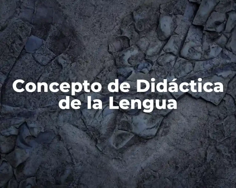 Concepto de Didáctica de la Lengua
