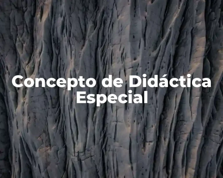 Concepto de Didáctica Especial