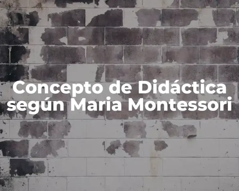 Concepto de Didáctica según Maria Montessori