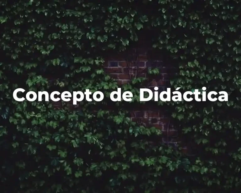 Concepto de Didáctica