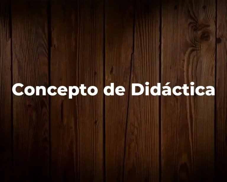 Concepto de Didáctica