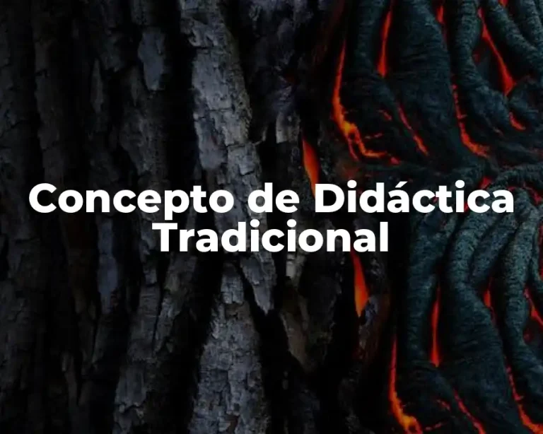 Concepto de Didáctica Tradicional