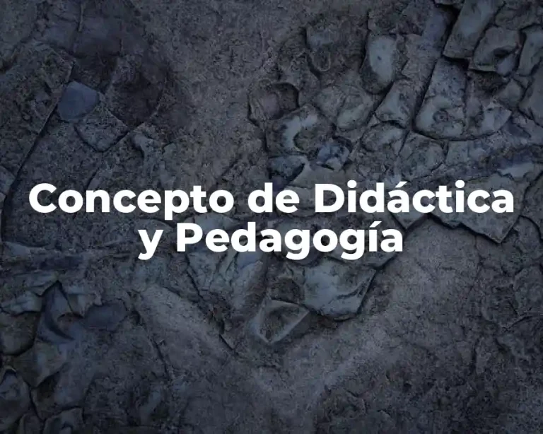Concepto de Didáctica y Pedagogía