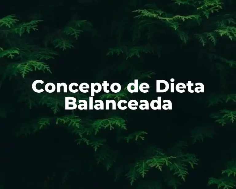 Concepto de Dieta Balanceada