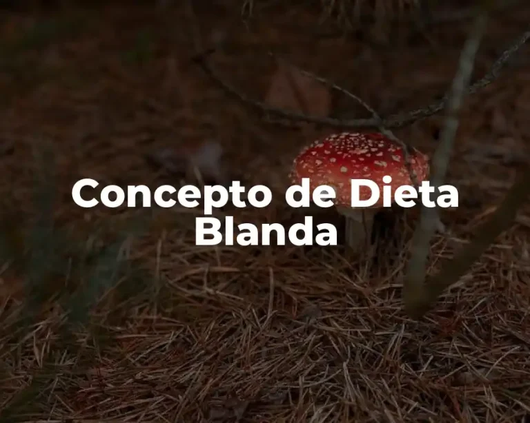 Concepto de Dieta Blanda
