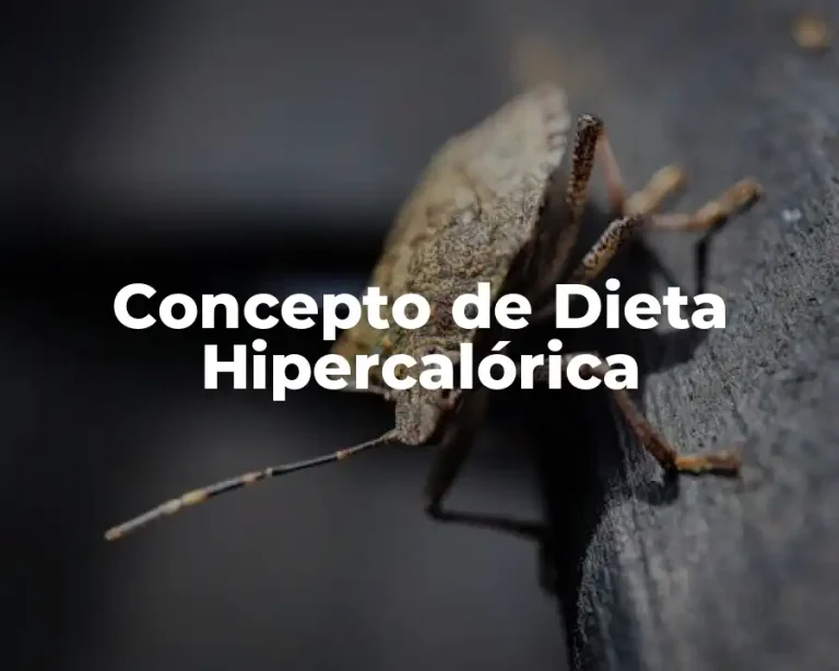 Concepto de Dieta Hipercalórica