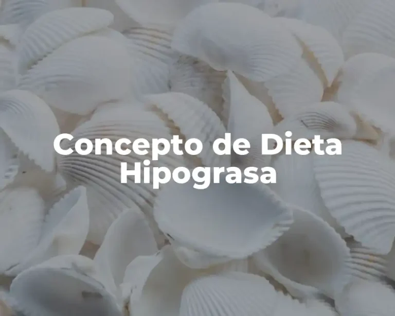 Concepto de Dieta Hipograsa